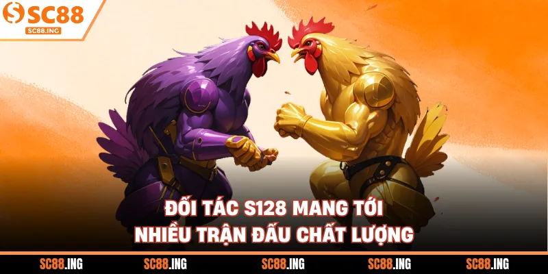 Đối tác S128 mang tới nhiều trận đấu chất lượng