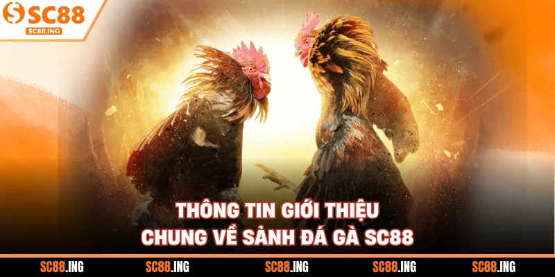 Thông tin giới thiệu chung về sảnh đá gà SC88